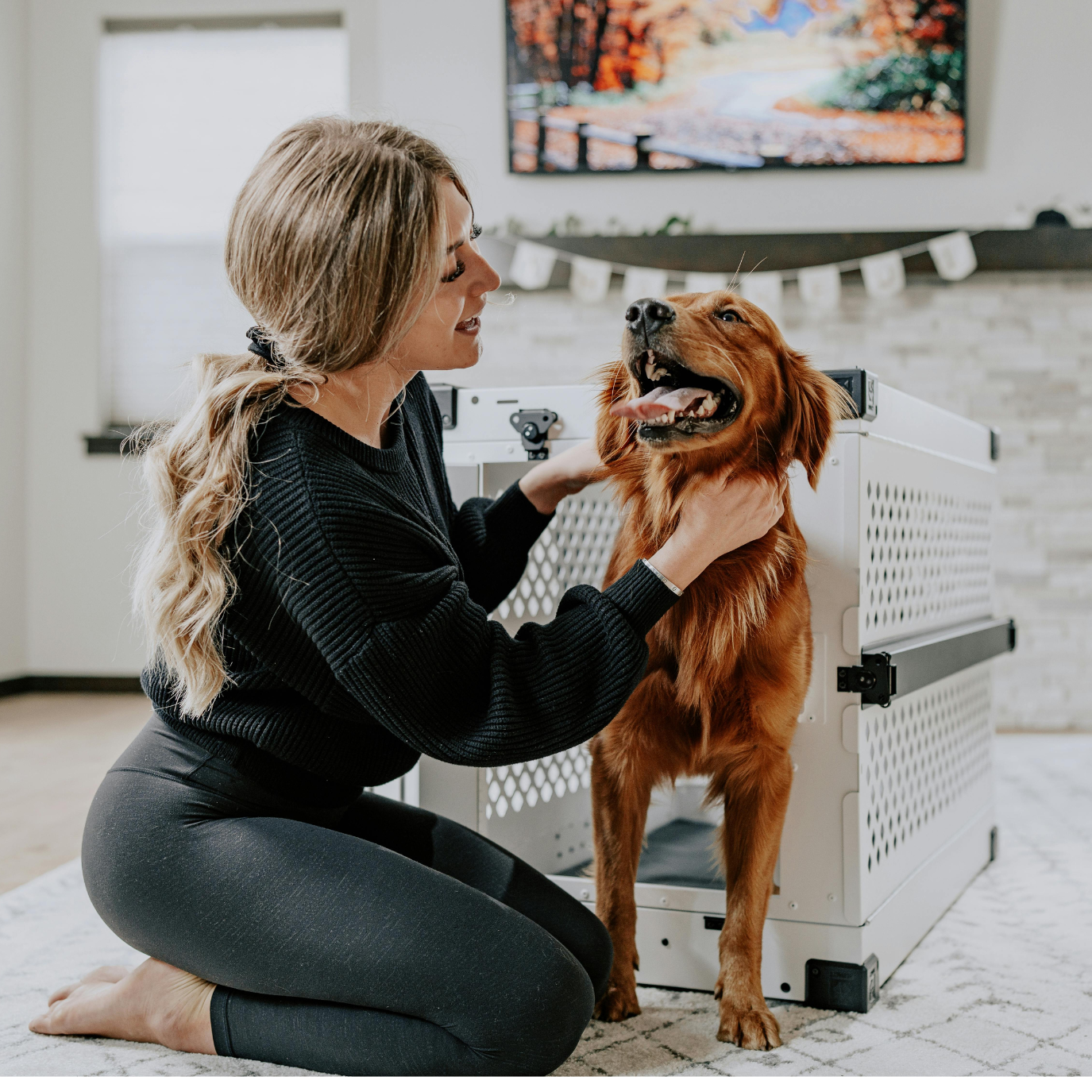 Pet Care