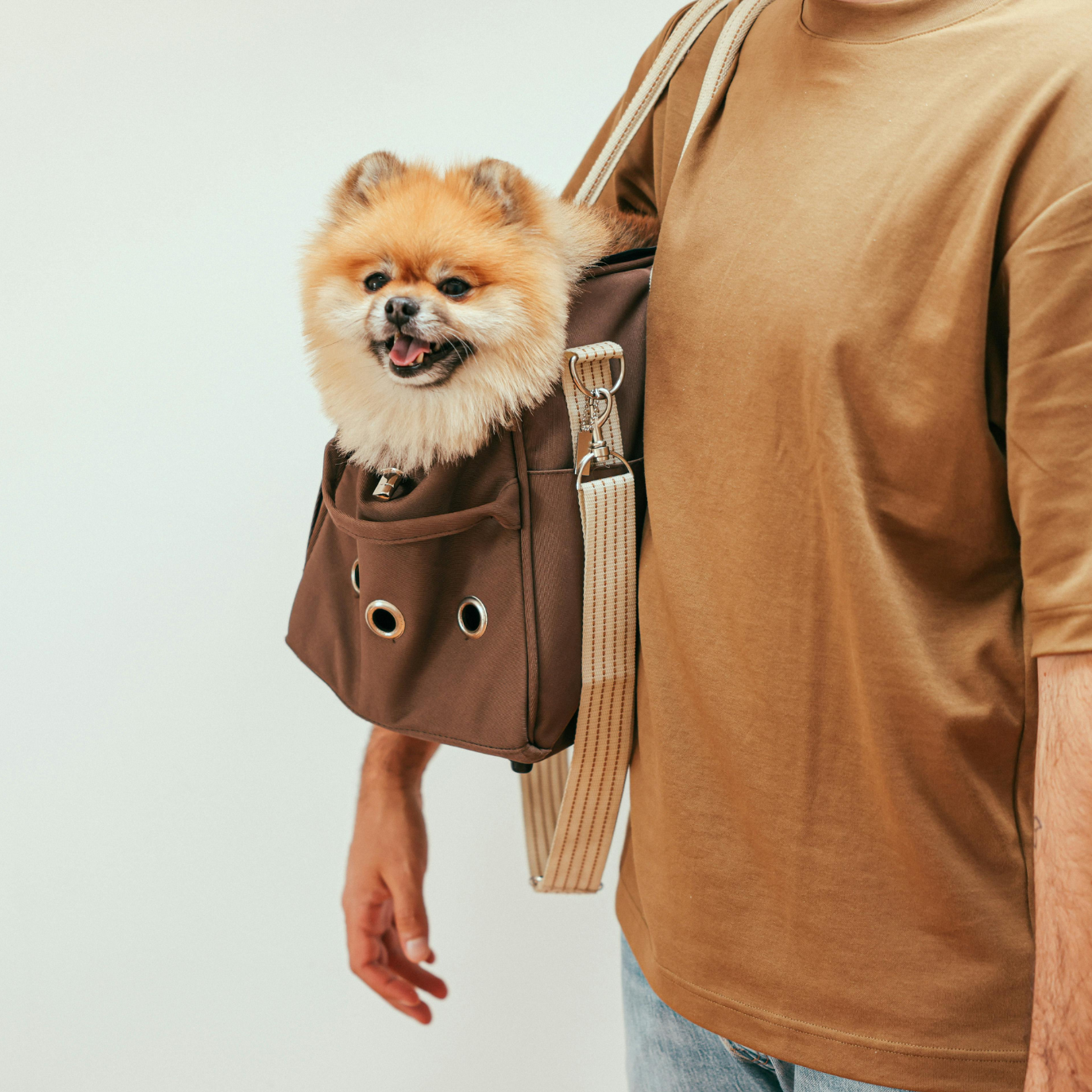 Pet Carrier