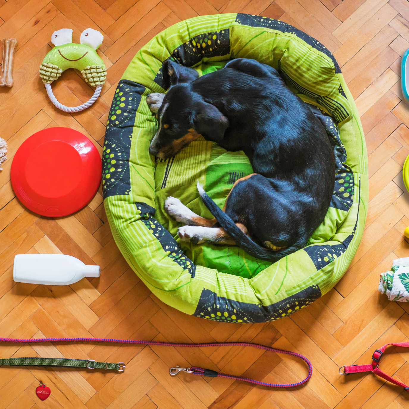 Pet Supplies